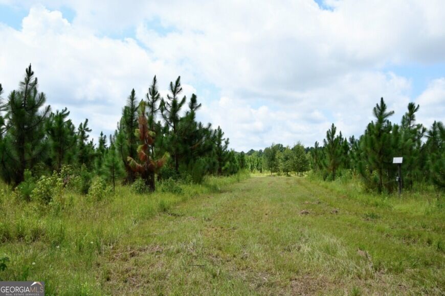 0 Highway 25 S Property Photo 28