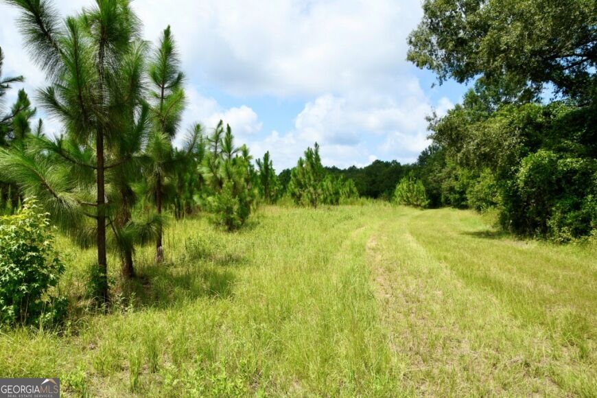 0 Highway 25 S Property Photo 29