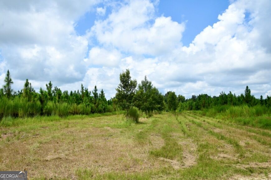 0 Highway 25 S Property Photo 33