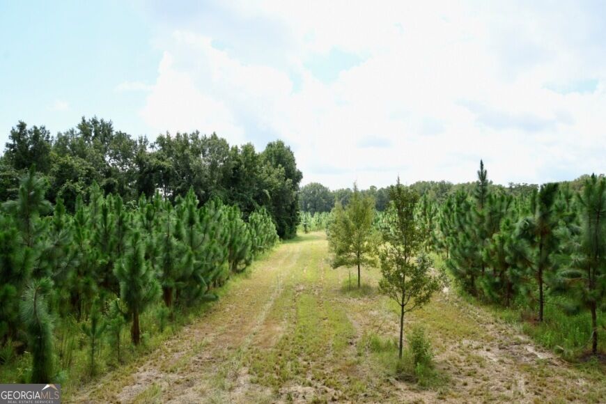 0 Highway 25 S Property Photo 34
