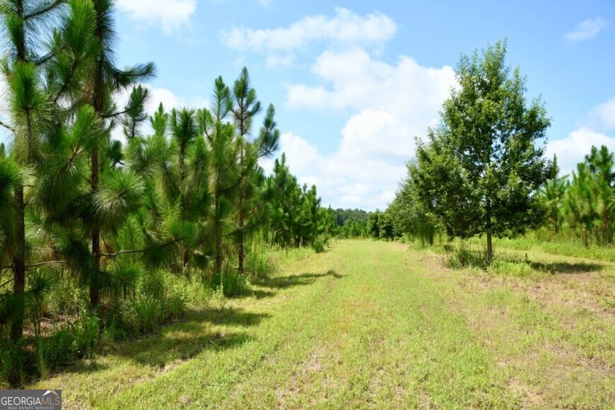 0 Highway 25 S Property Photo 37