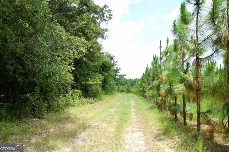 0 Highway 25 S Property Photo 38