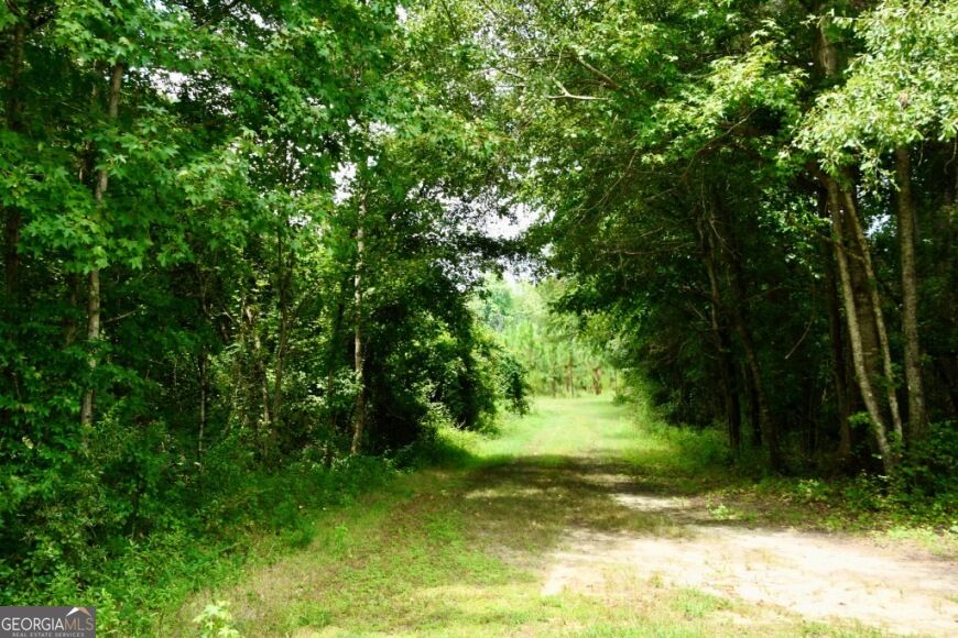 0 Highway 25 S Property Photo 39