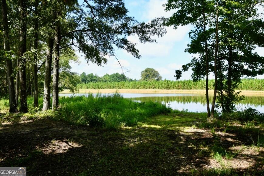 0 Highway 25 S Property Photo 44