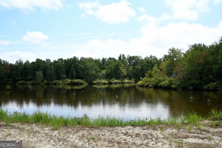 0 Highway 25 S Property Photo 45