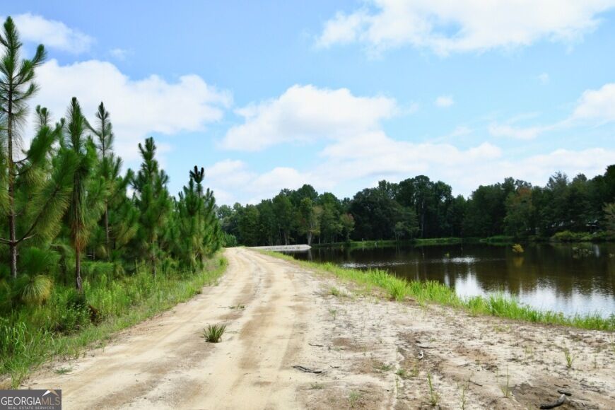 0 Highway 25 S Property Photo 46