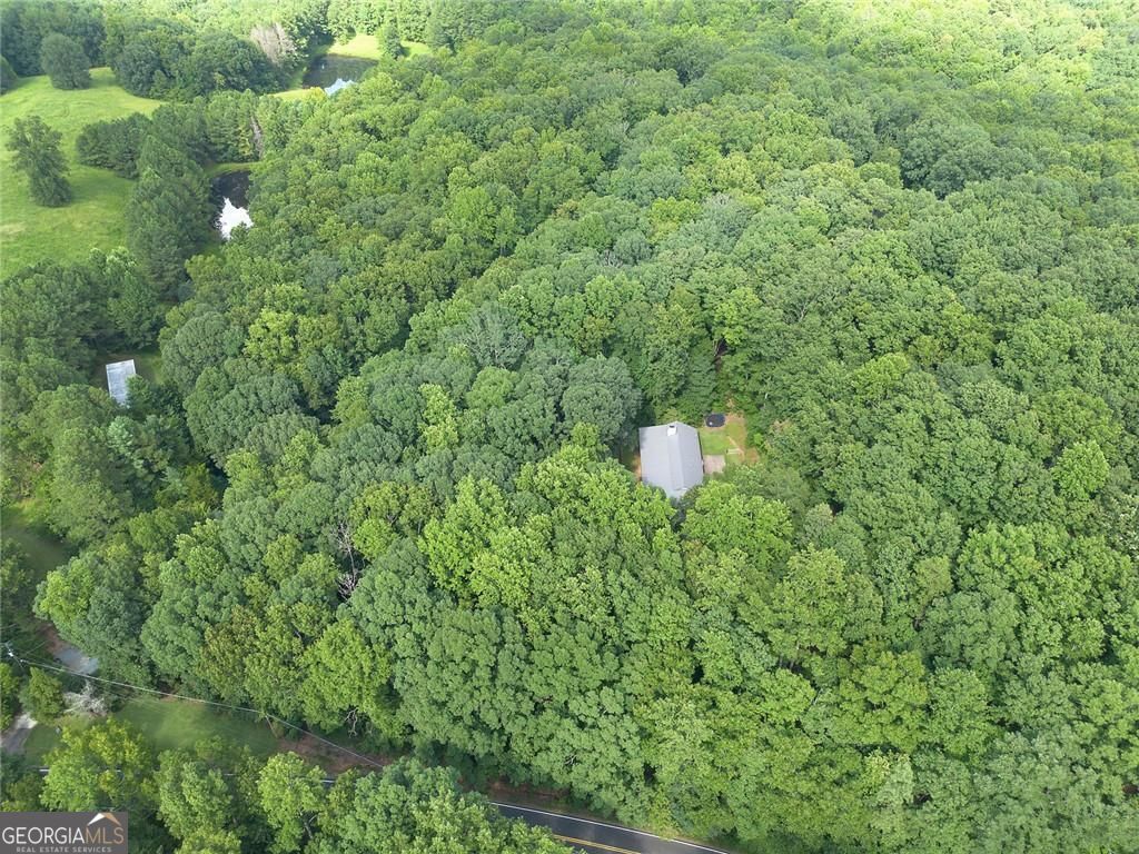 76 Star Wars Path Property Photo 54