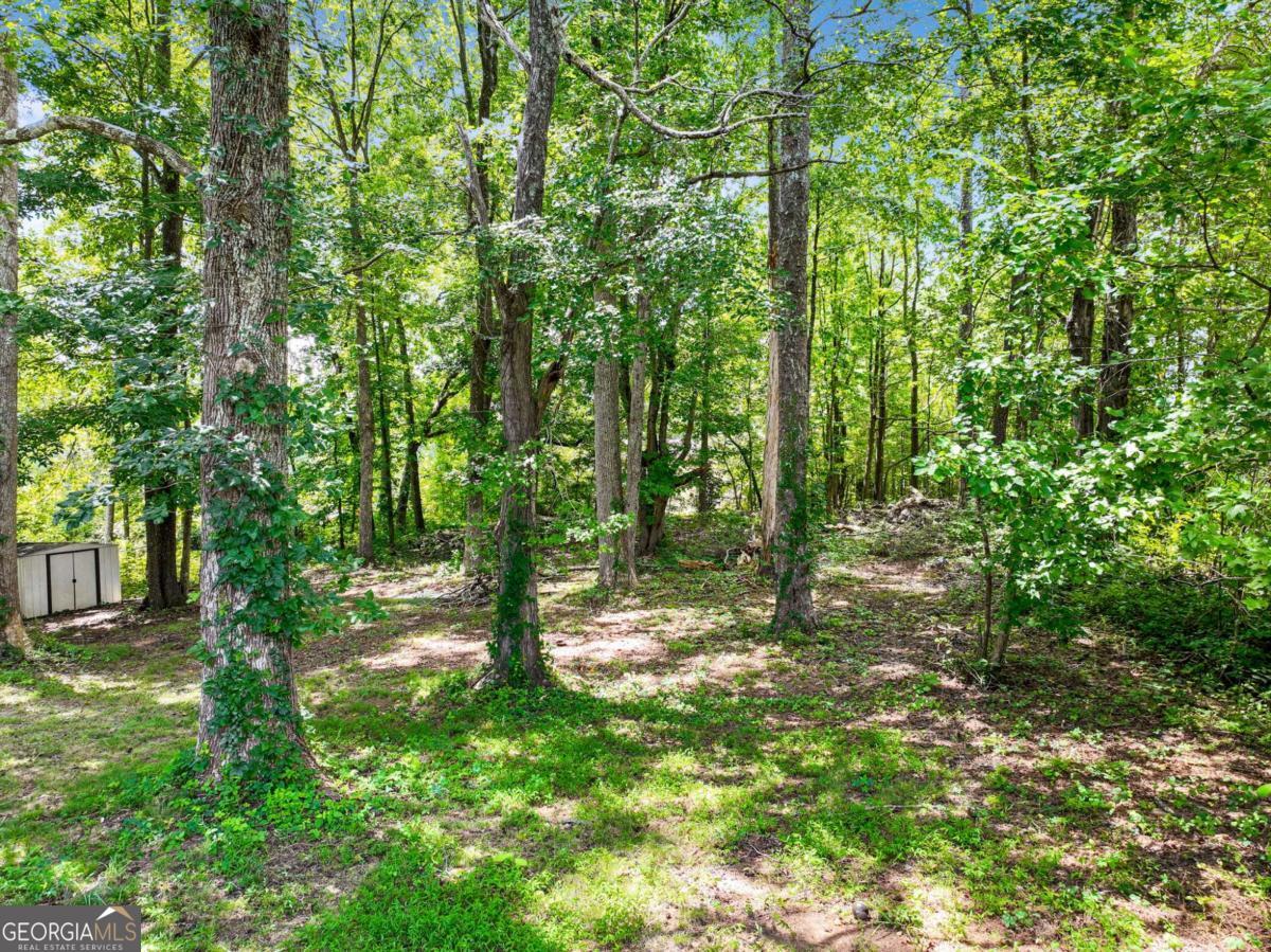 3918 Sherwood Drive Property Photo 21