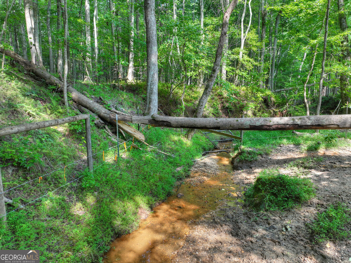 267 Sharp Mountain Parkway Property Photo 70