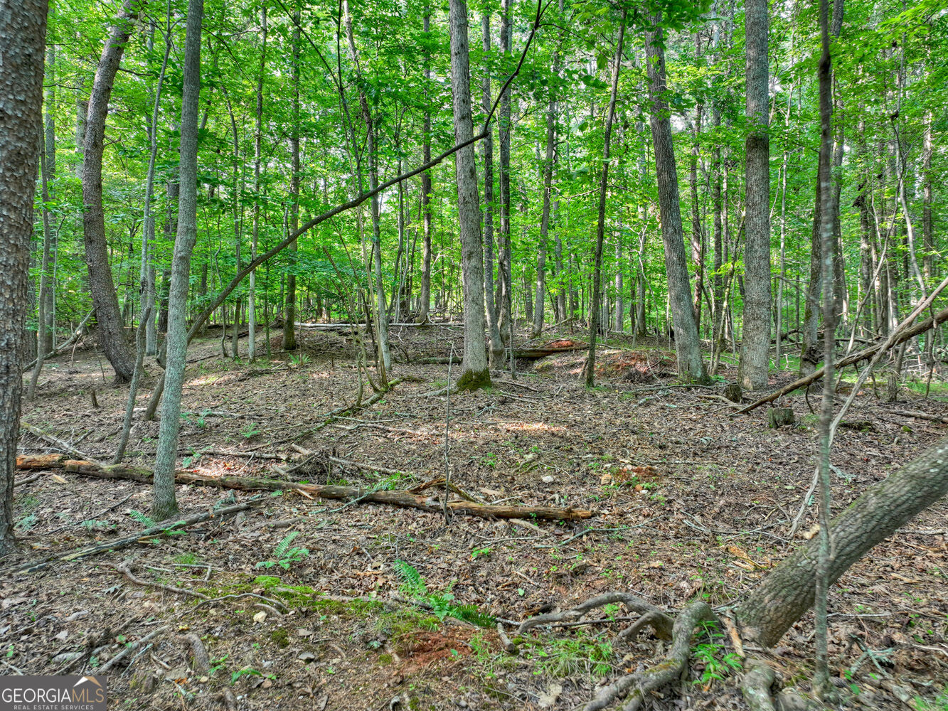 267 Sharp Mountain Parkway Property Photo 72