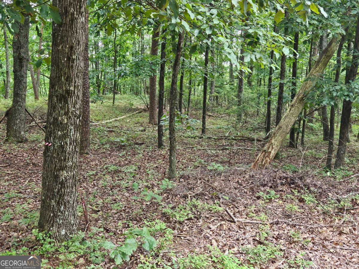 1467 Hanna Drive Property Photo 1