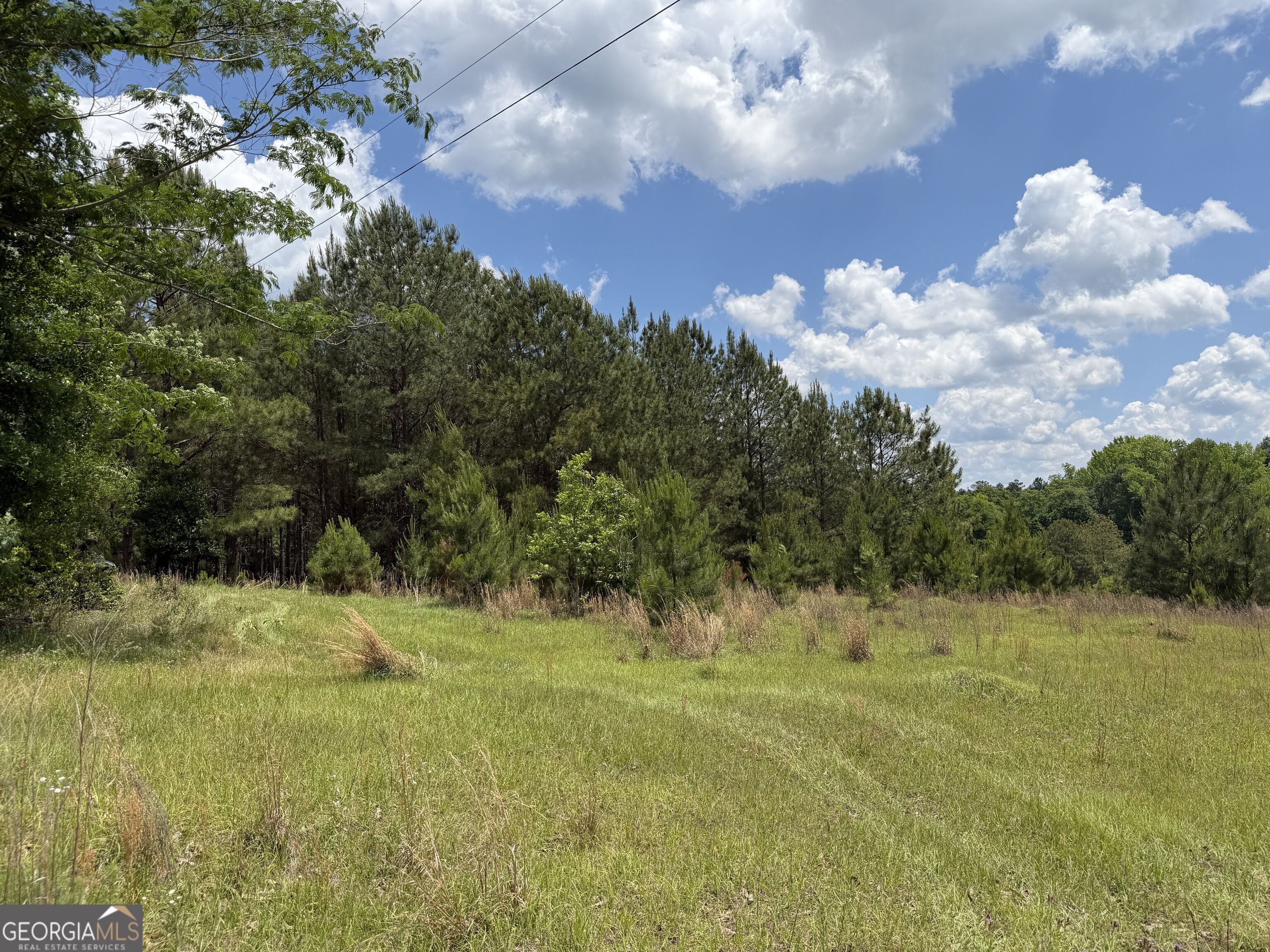 004 Little Sandy Creek Road Property Photo 1