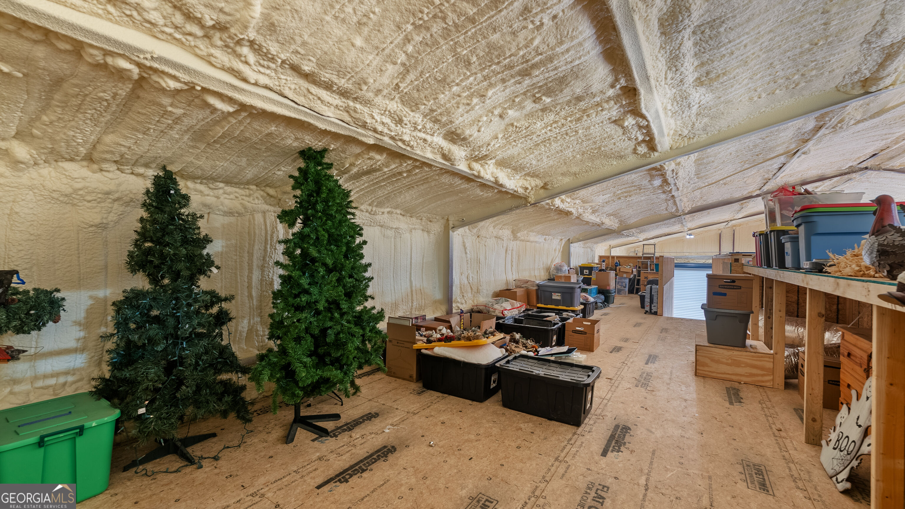 107 Lonnie Johnson Road Property Photo 67