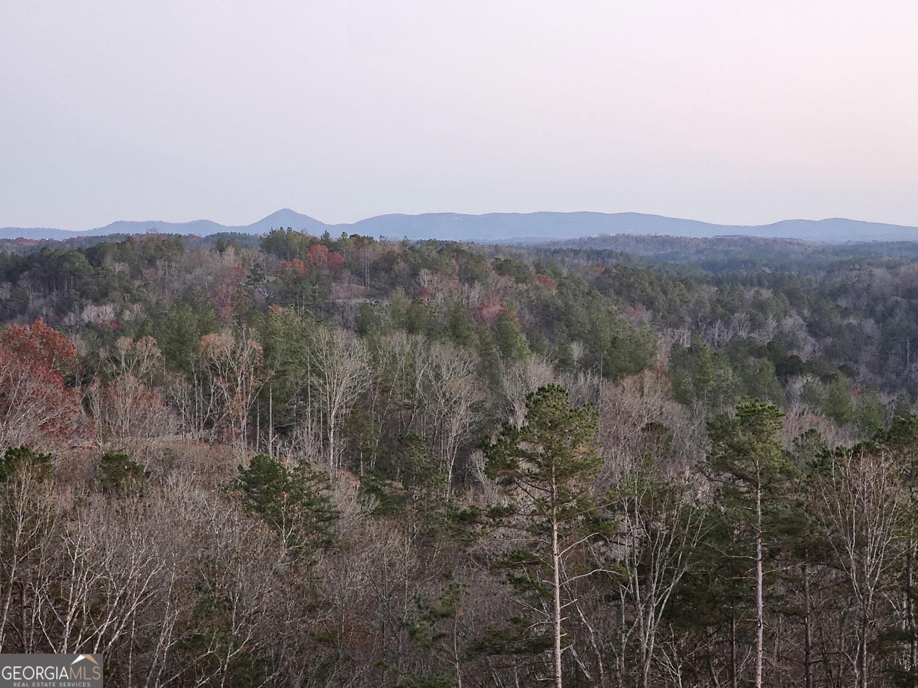 289 Anglers Ridge Road Property Photo 4