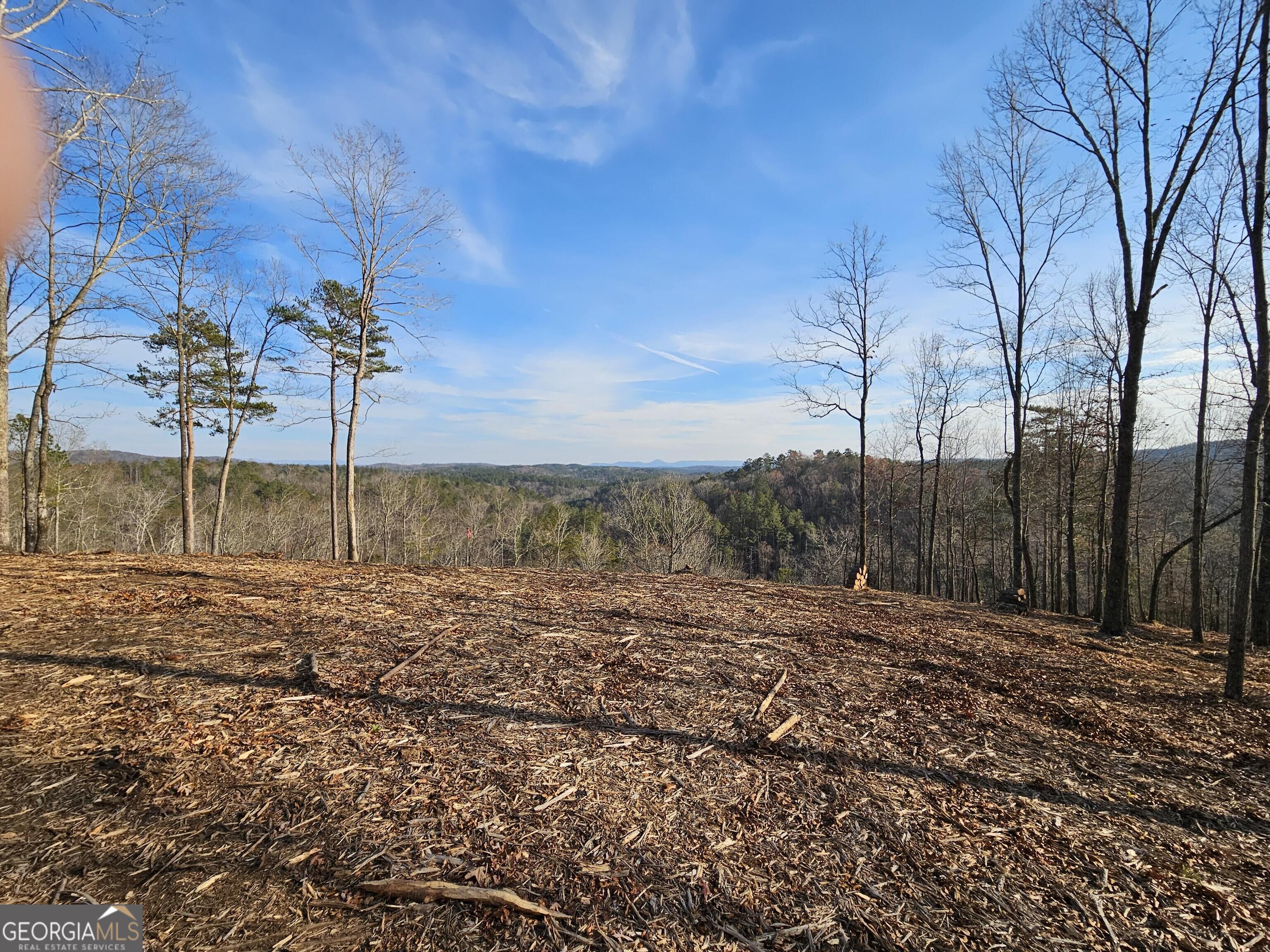 289 Anglers Ridge Road Property Photo 6