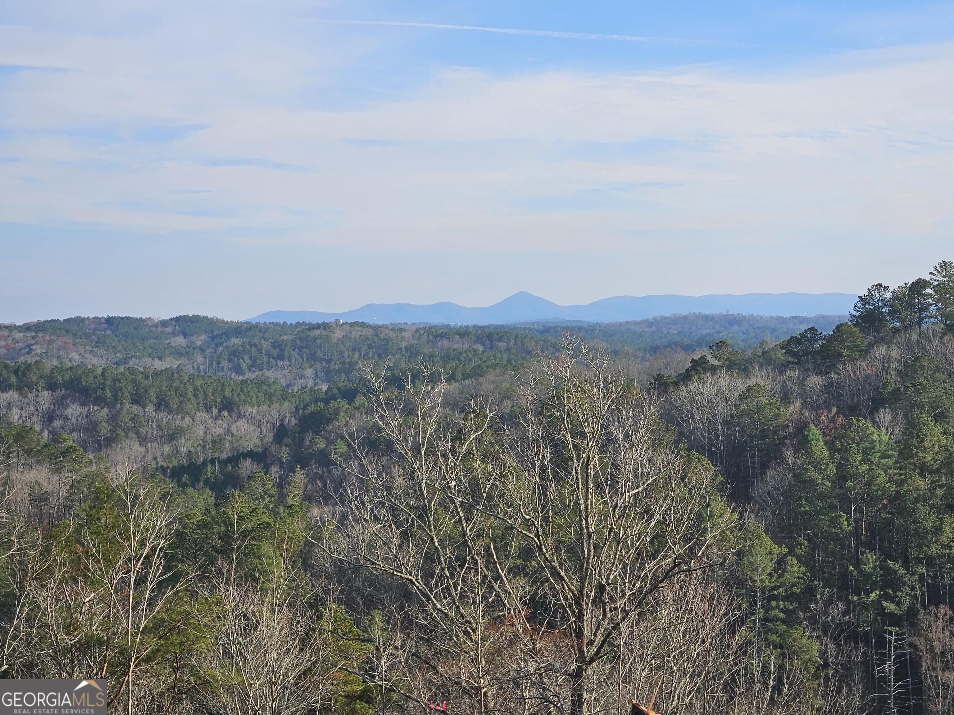 289 Anglers Ridge Road Property Photo 7