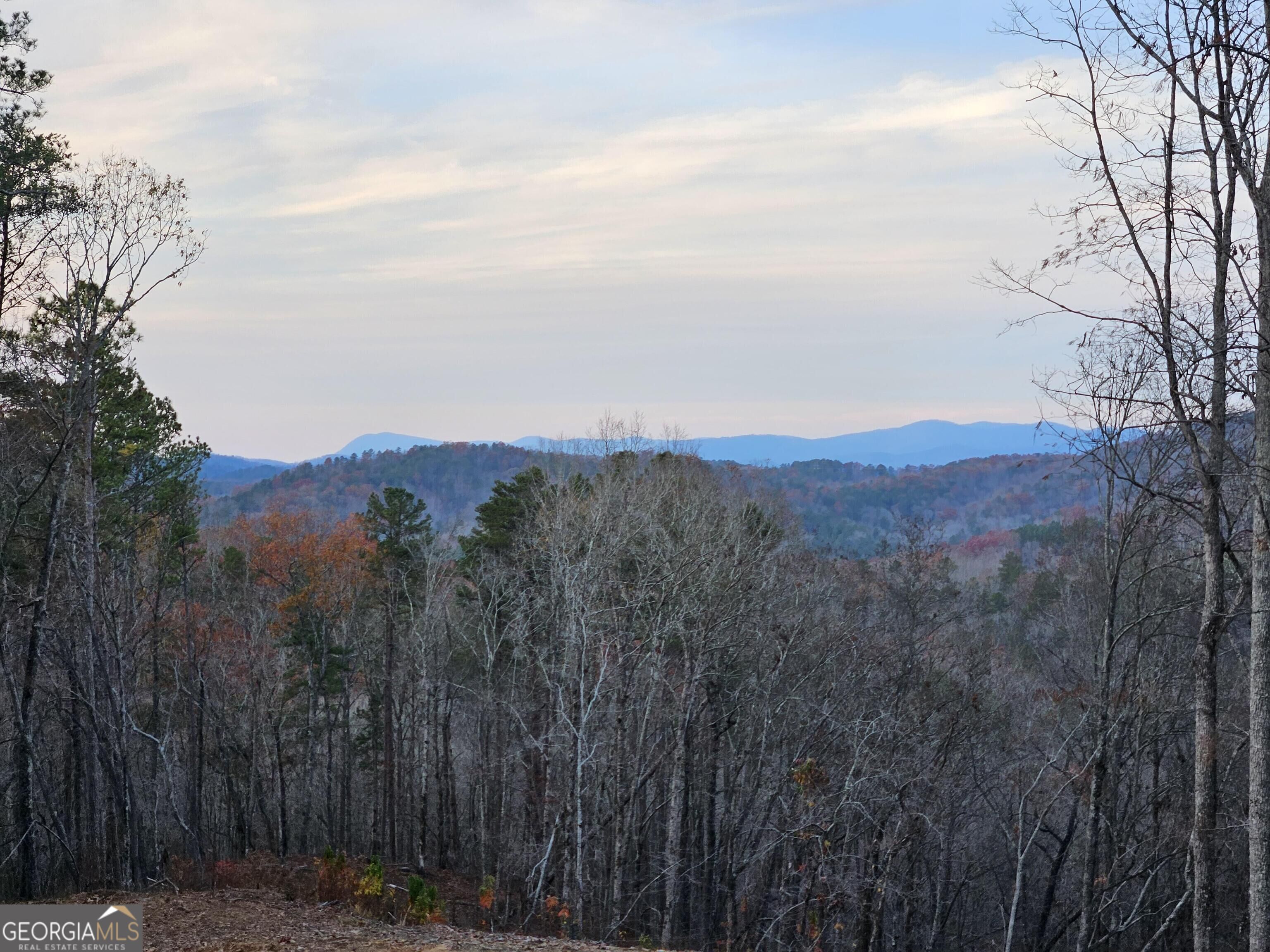 289 Anglers Ridge Road Property Photo 12