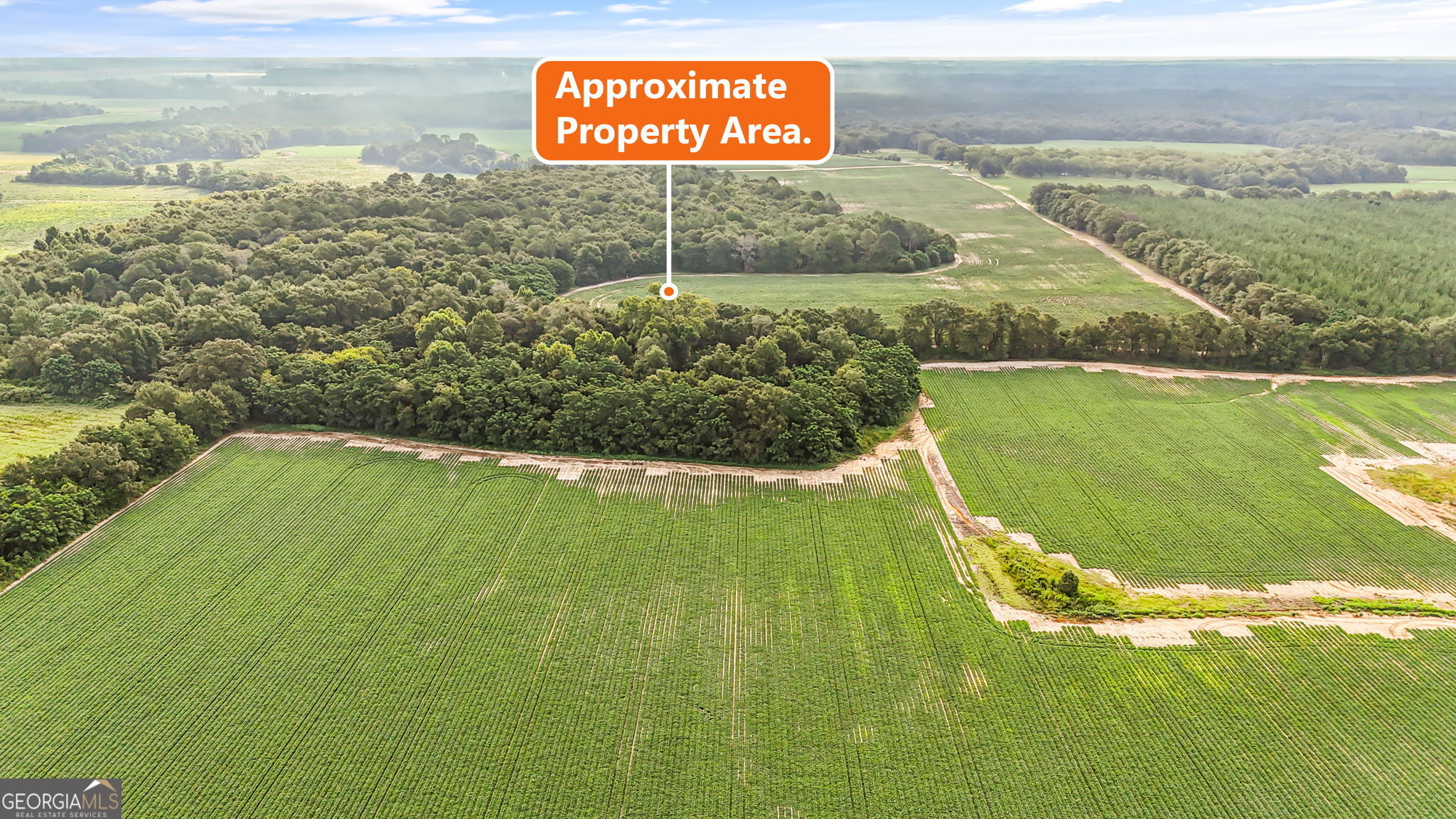 0 Long Road Property Photo 3