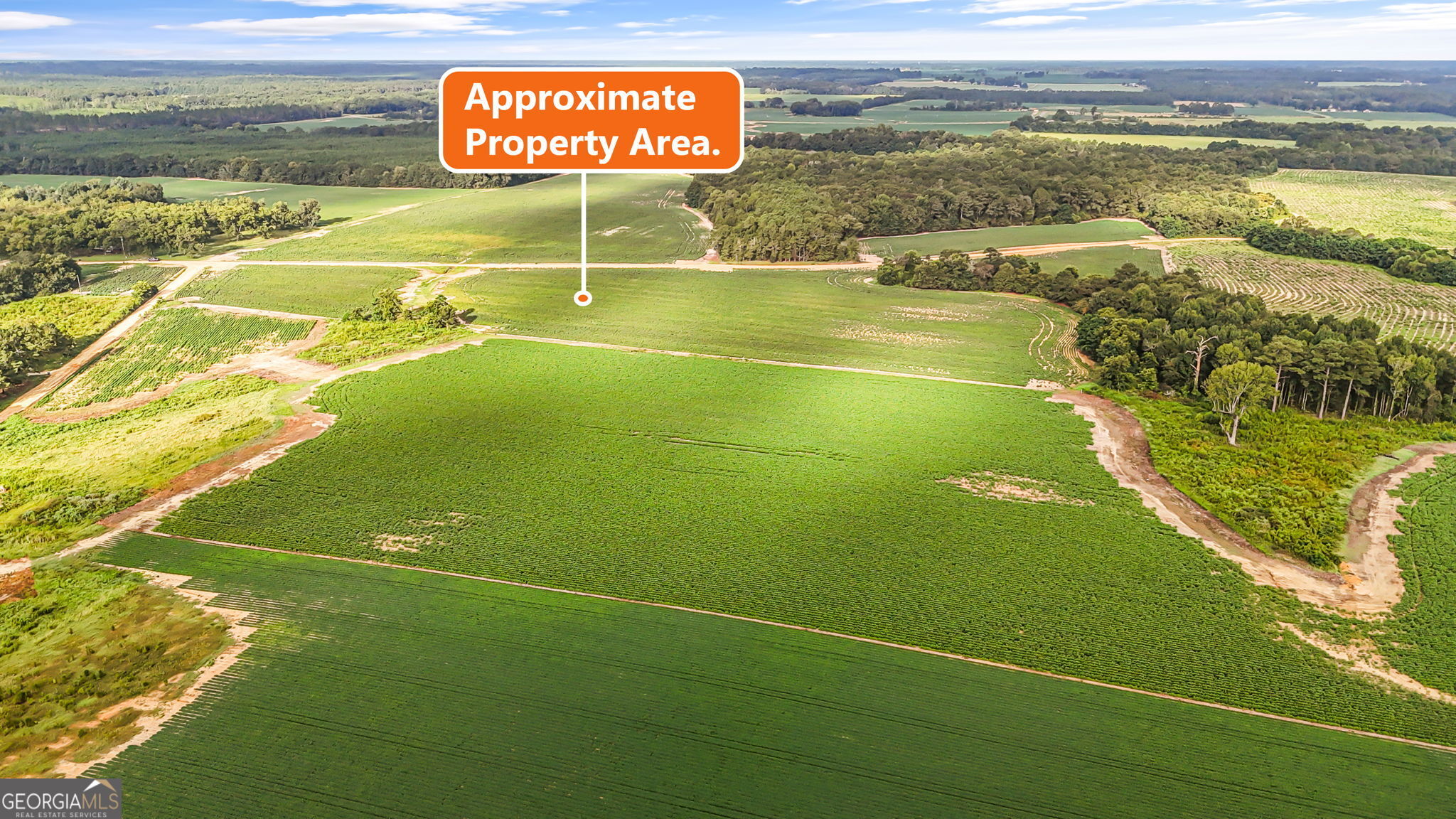 0 Long Road Property Photo 4