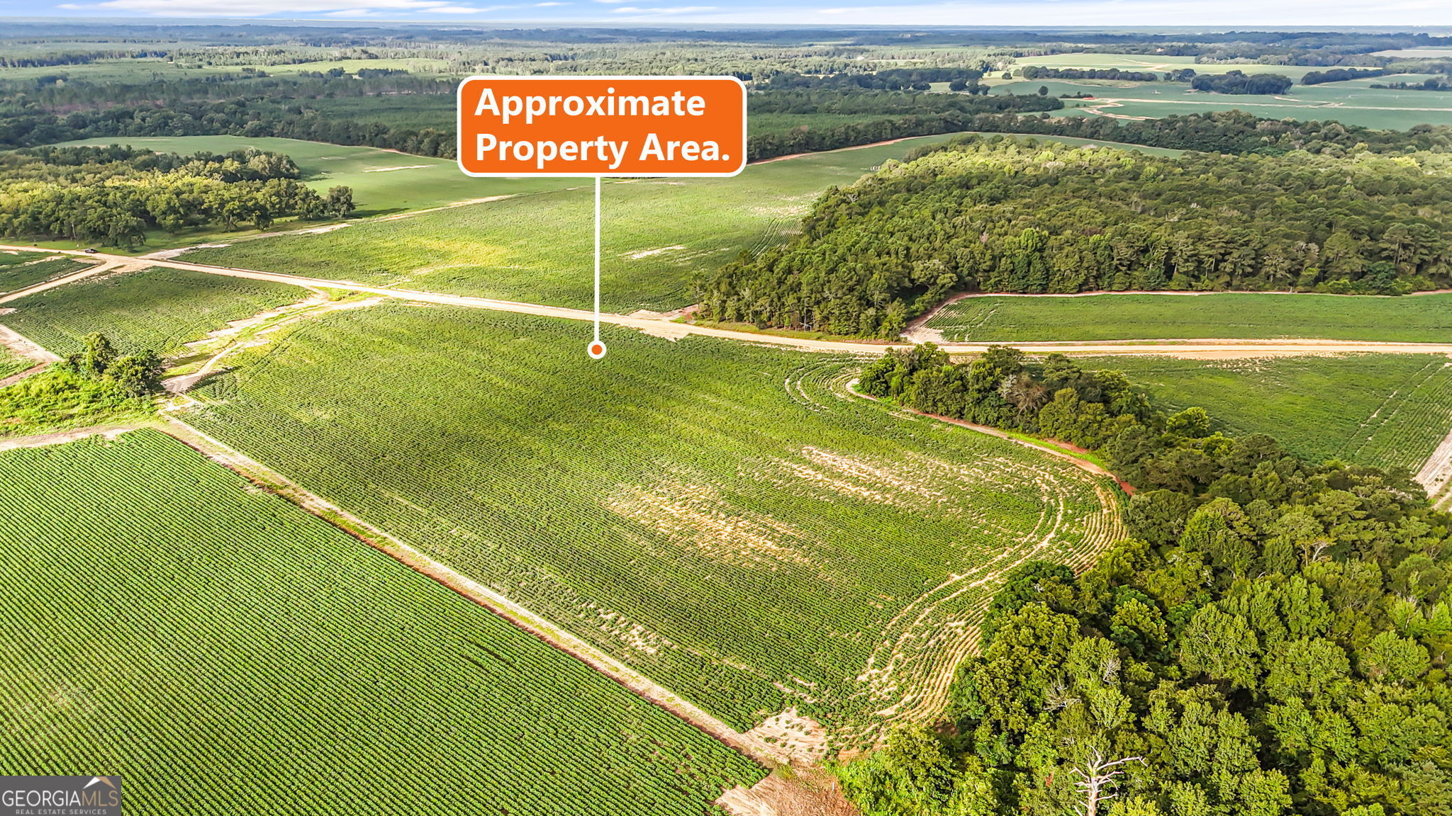 0 Long Road Property Photo 5