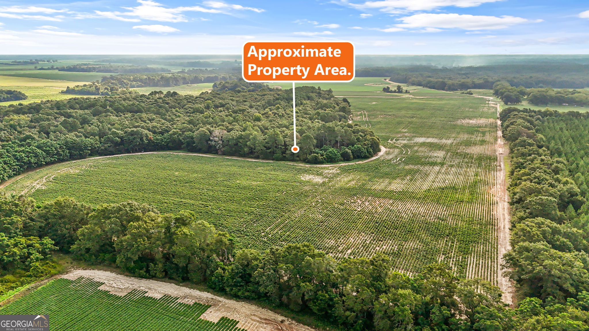0 Long Road Property Photo 7