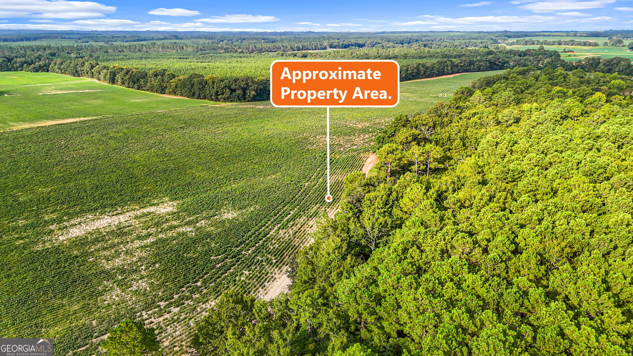 0 Long Road Property Photo 8