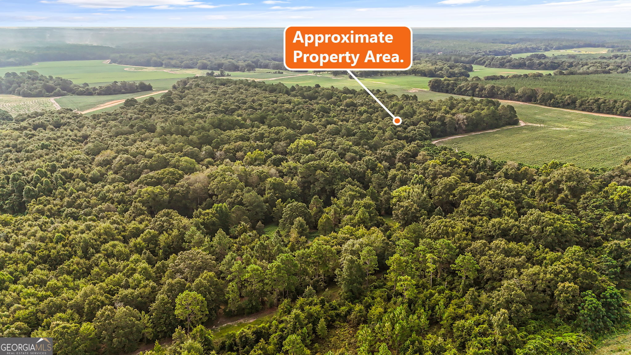 0 Long Road Property Photo 10