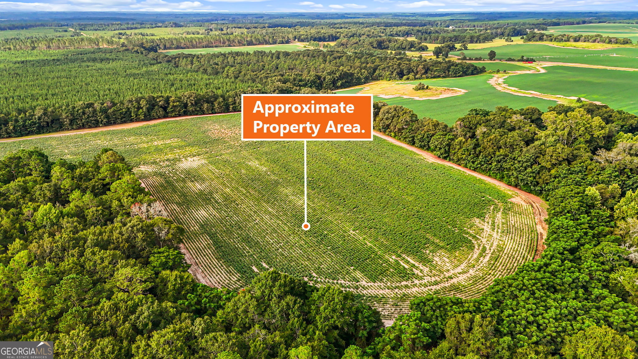 0 Long Road Property Photo 13