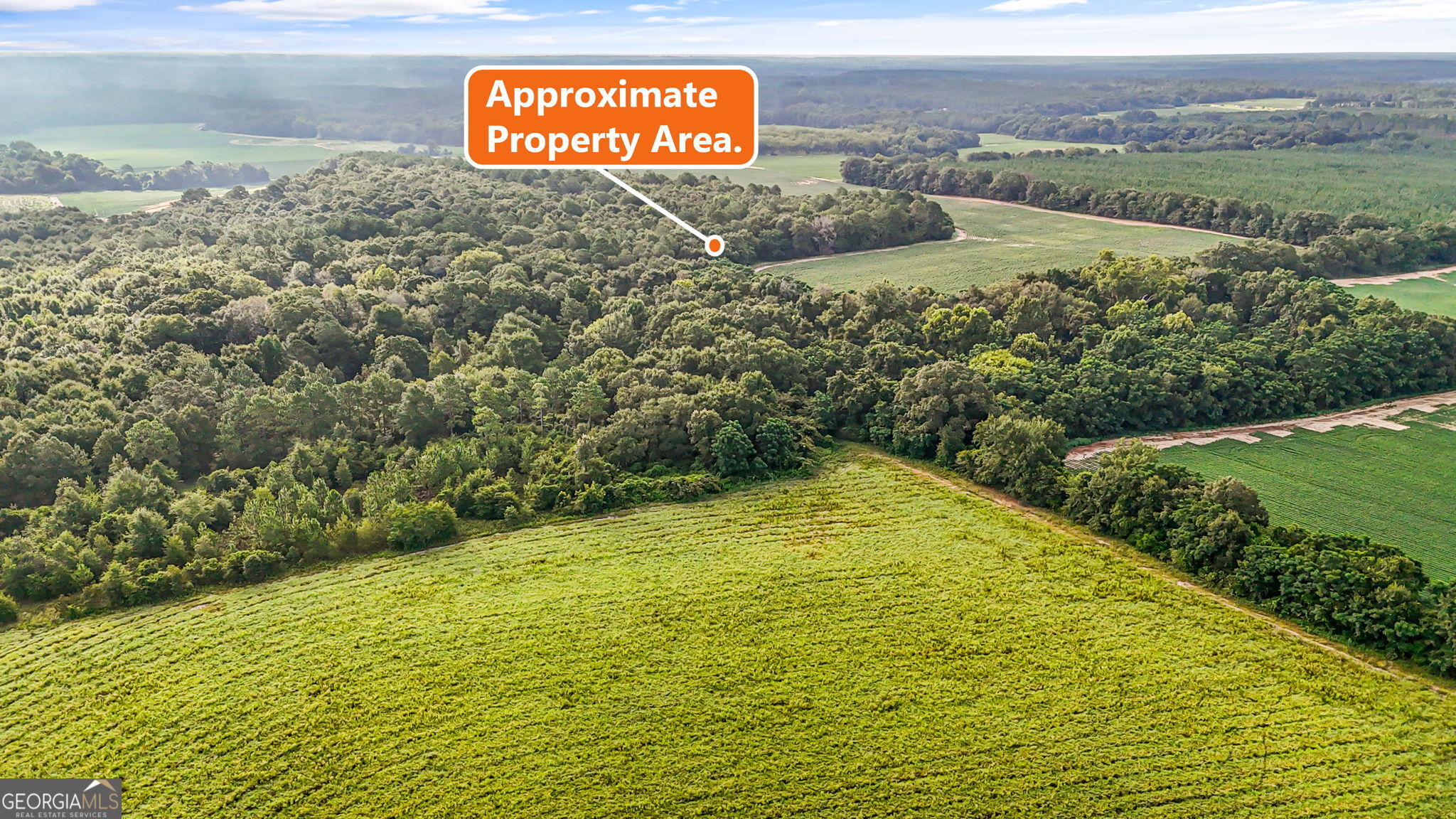 0 Long Road Property Photo 15