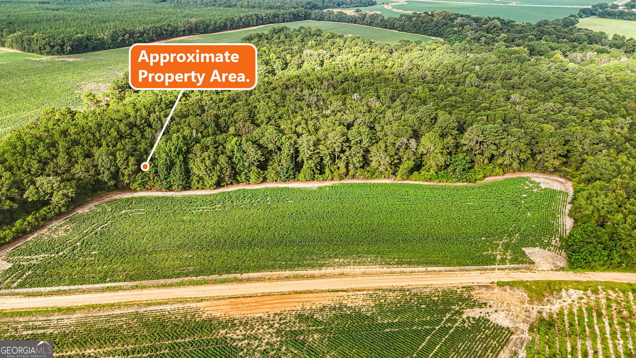 0 Long Road Property Photo 16