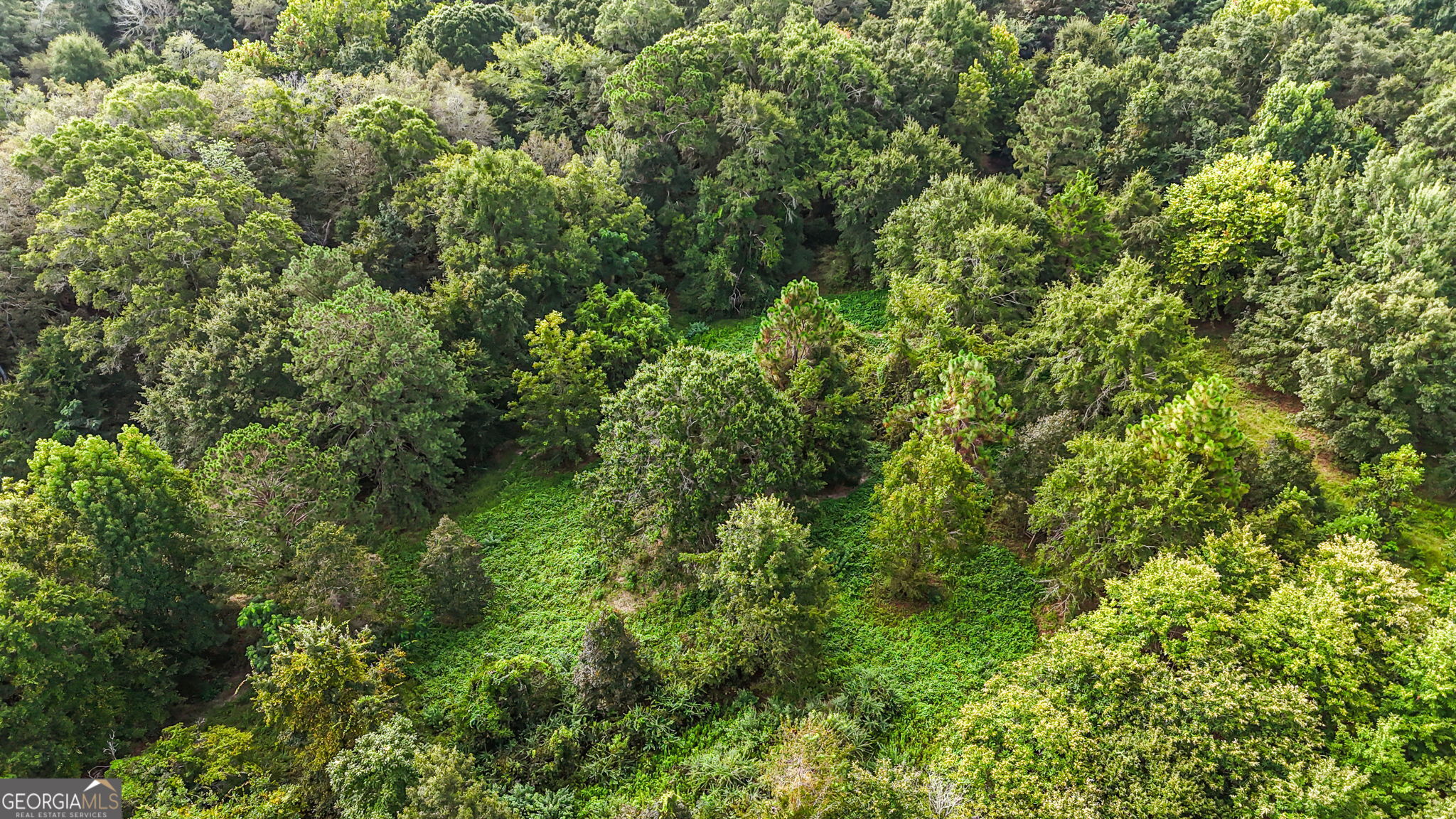 0 Long Road Property Photo 19