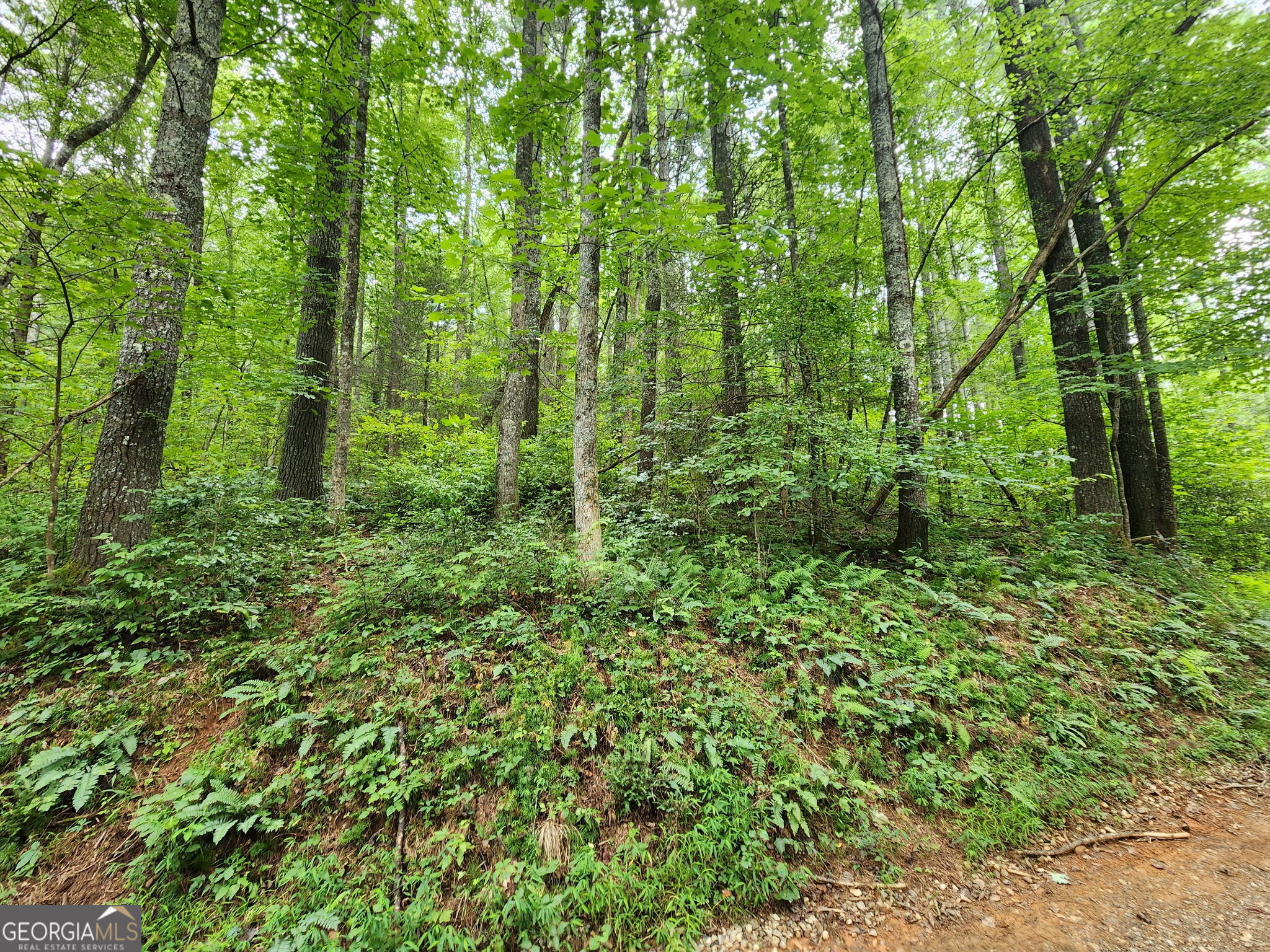 Tract 2a Poplar Cove Trail Property Photo 1