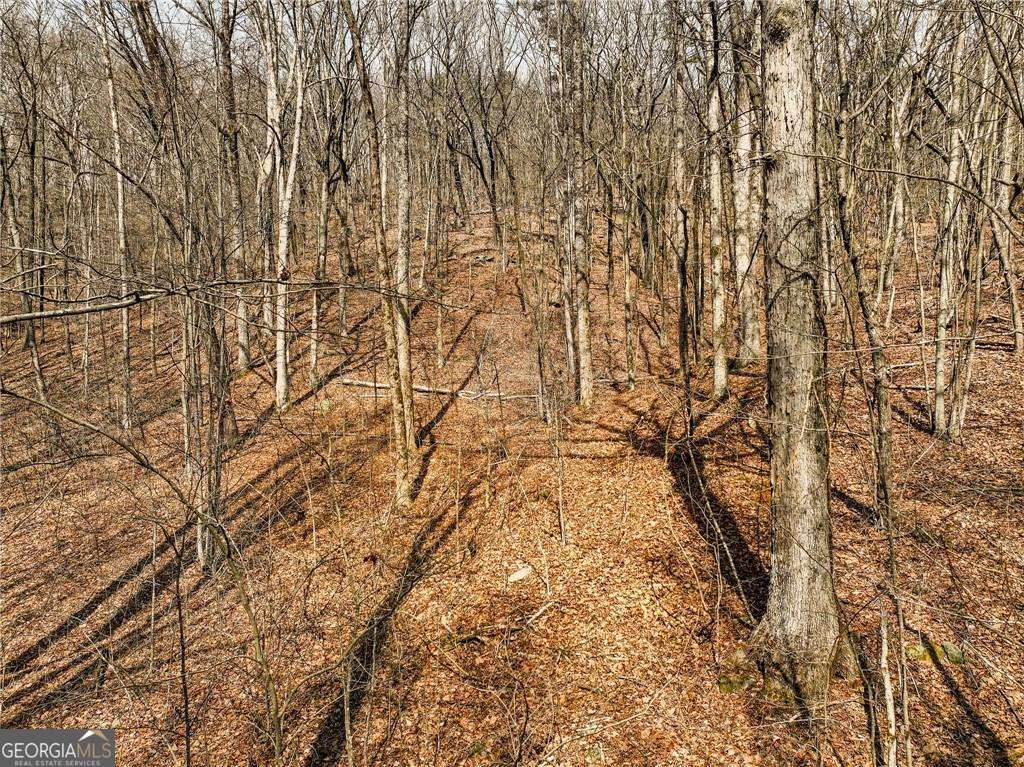 Lot 6 Mount Mincie Road Property Photo 1