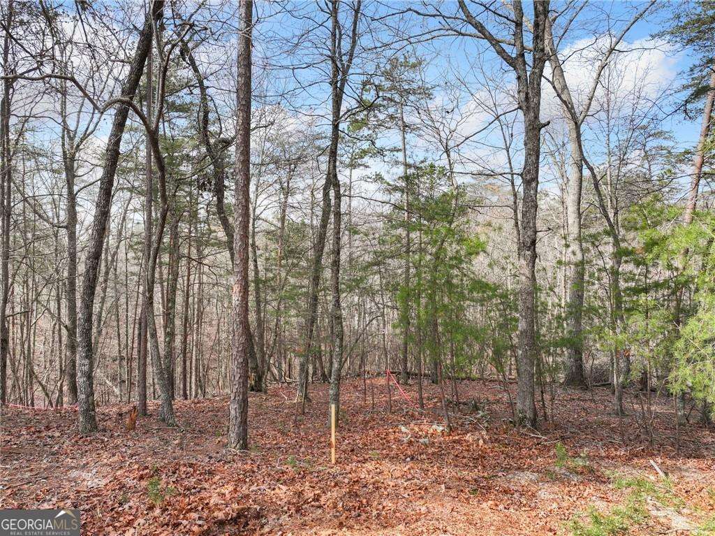 Lot 20 Crown Mountain Way Property Photo 5