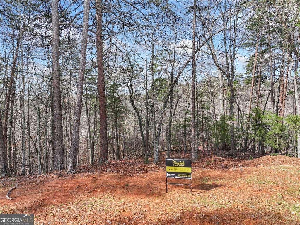 Lot 20 Crown Mountain Way Property Photo 6