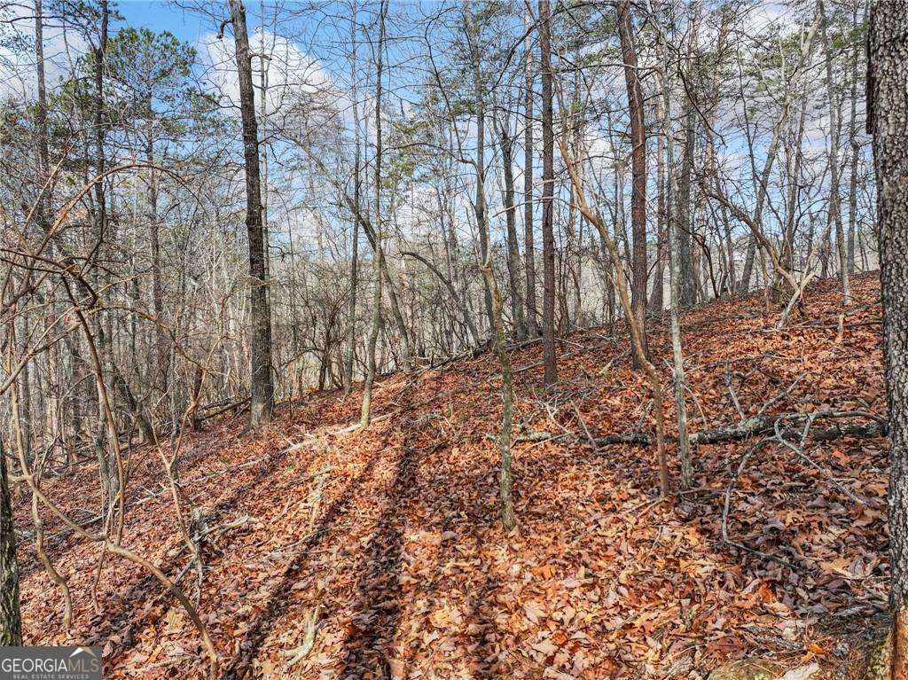 Lot 20 Crown Mountain Way Property Photo 7