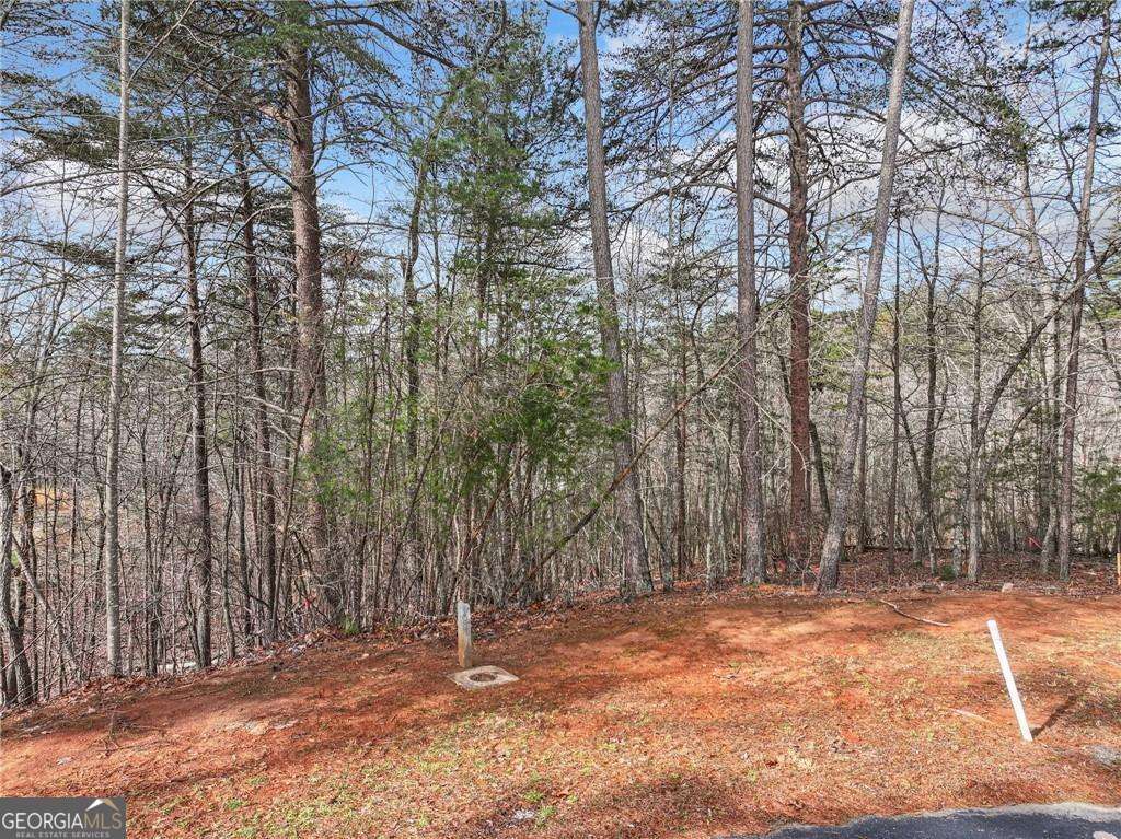 Lot 20 Crown Mountain Way Property Photo 8
