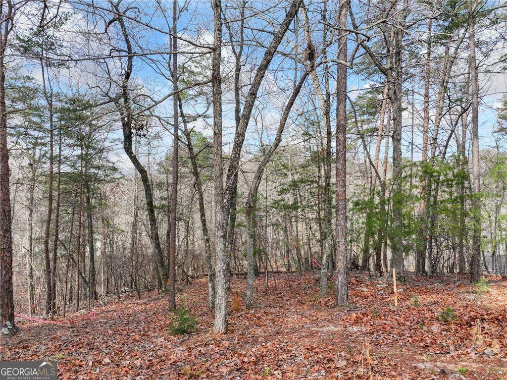 Lot 20 Crown Mountain Way Property Photo 9