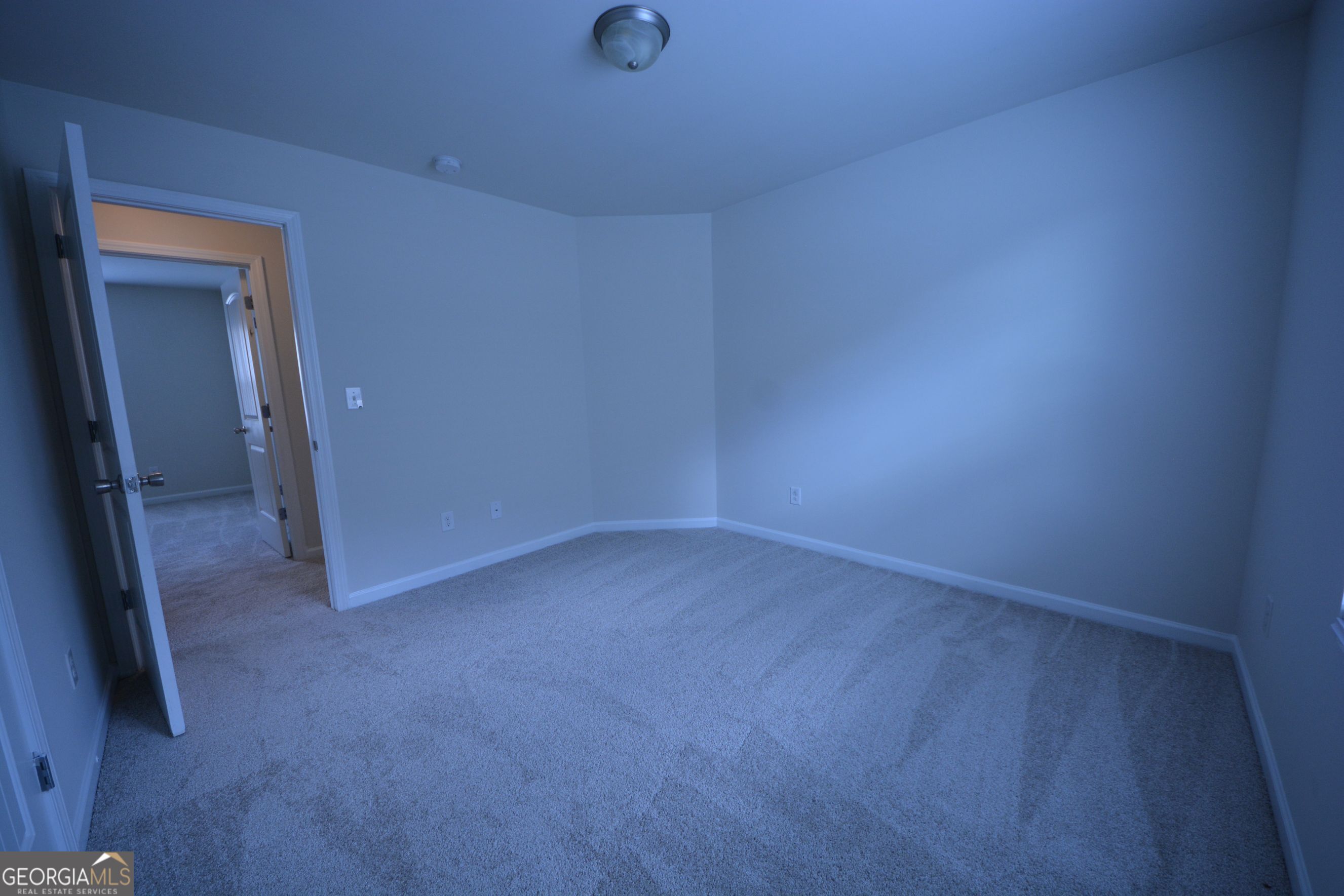167 Daisy Circle Property Photo 38