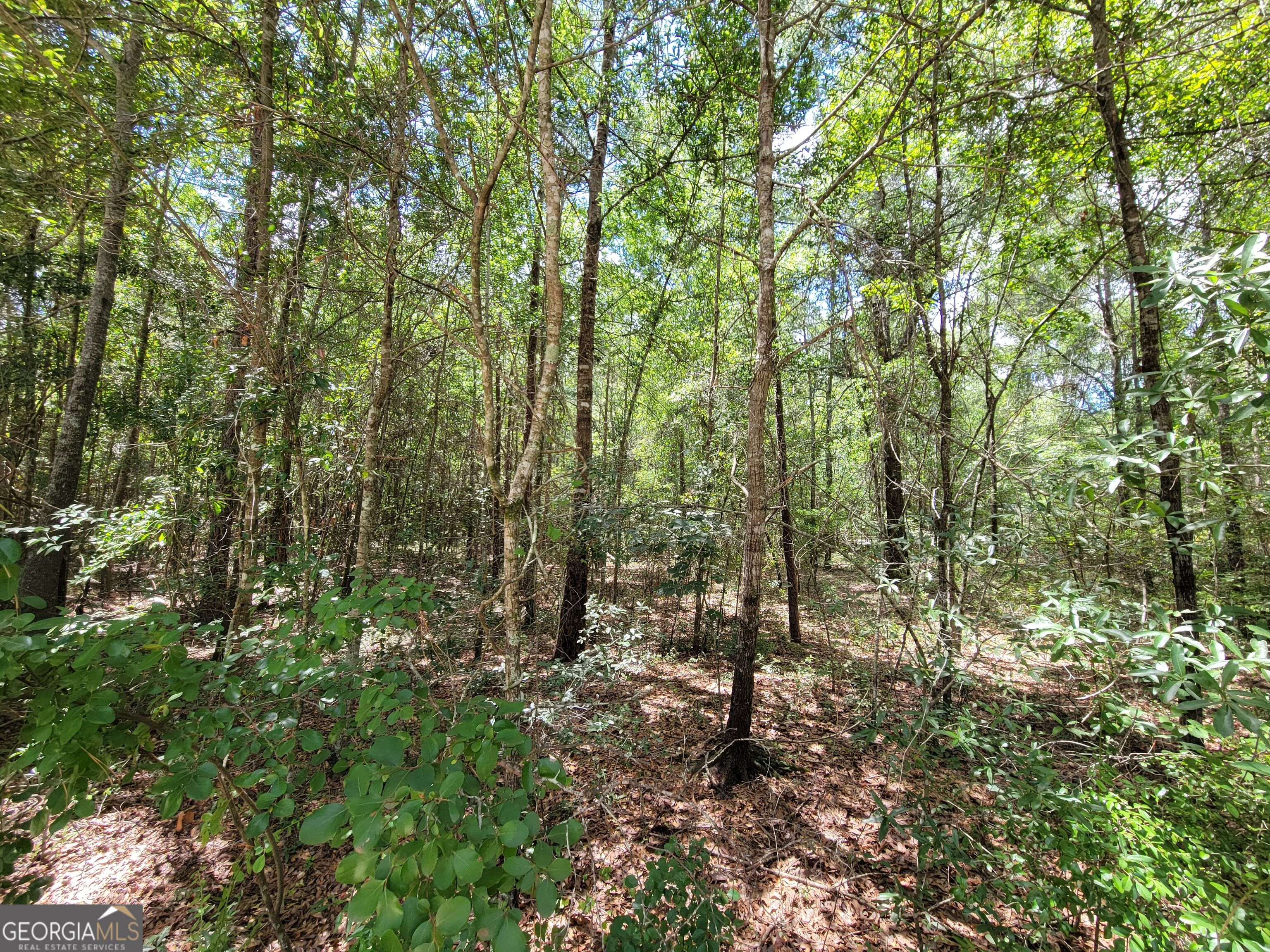 2604 River Bend Road Property Photo 14