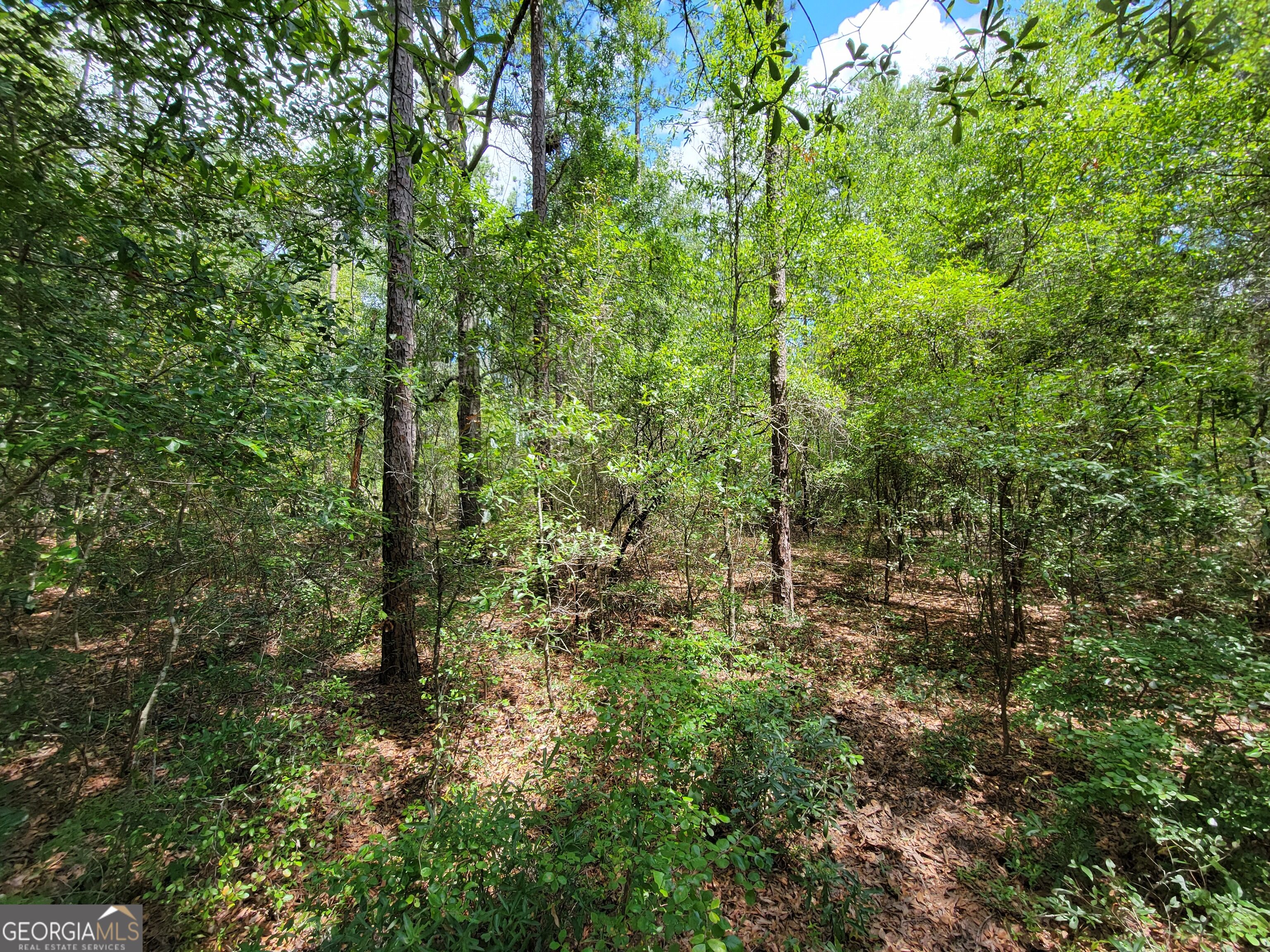 2604 River Bend Road Property Photo 15