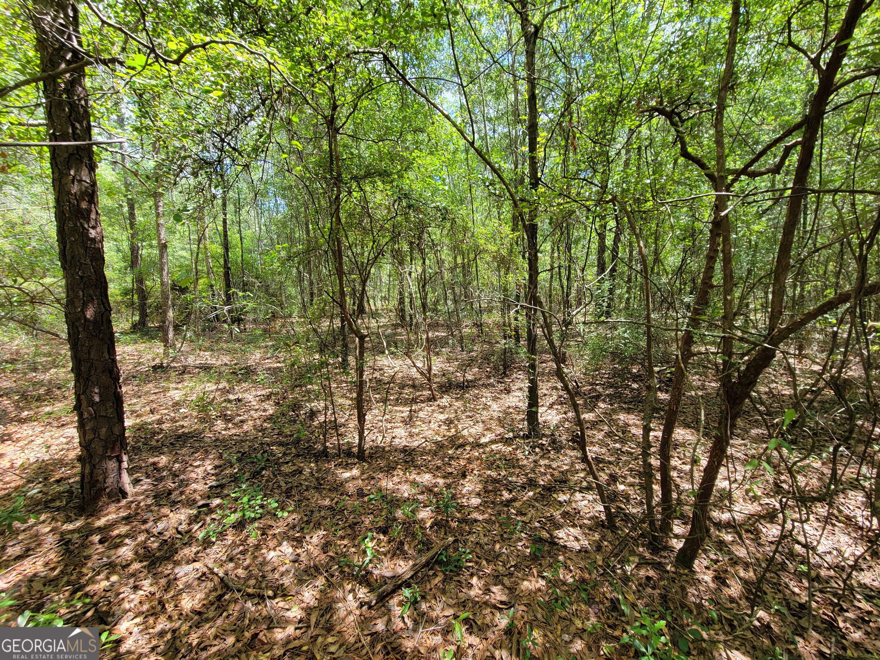 2604 River Bend Road Property Photo 16