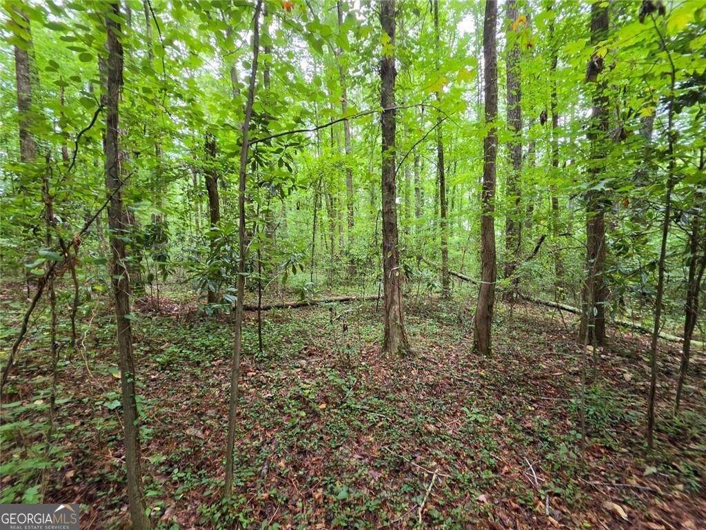 0 Brookwood Drive Property Photo 12