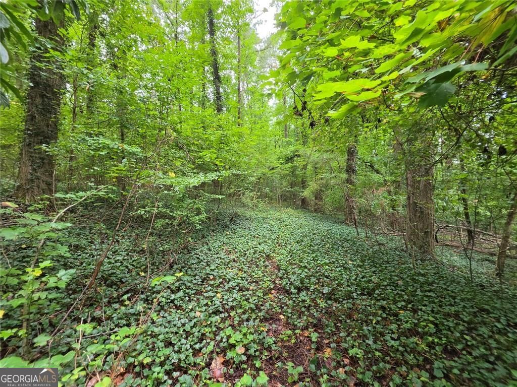 0 Brookwood Drive Property Photo 14