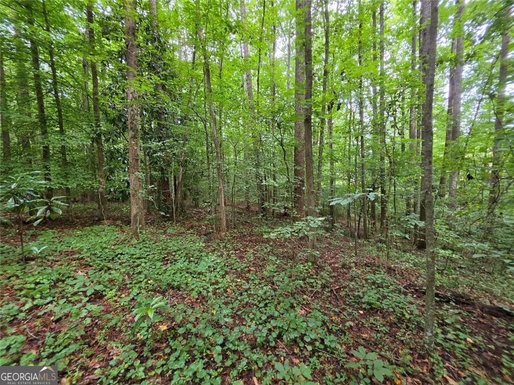 0 Brookwood Drive Property Photo 15