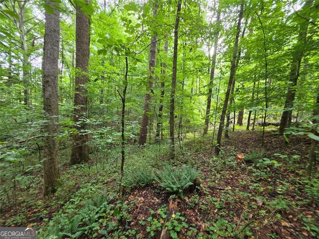 0 Brookwood Drive Property Photo 16