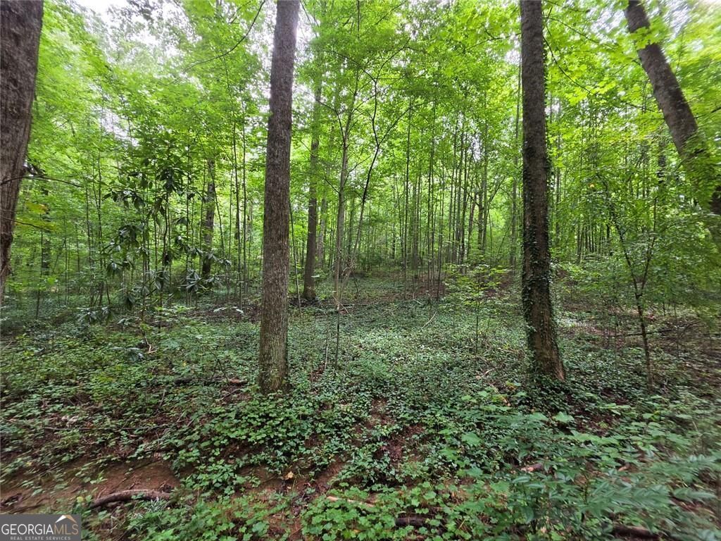0 Brookwood Drive Property Photo 21