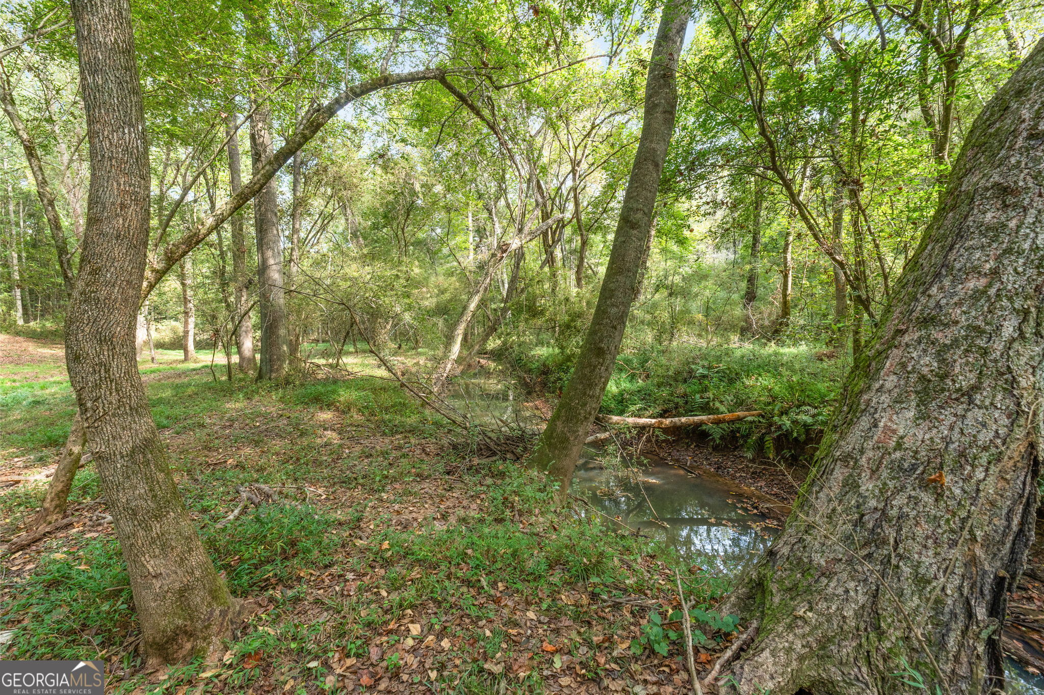 210 Hidden Falls Wlk Property Photo 42