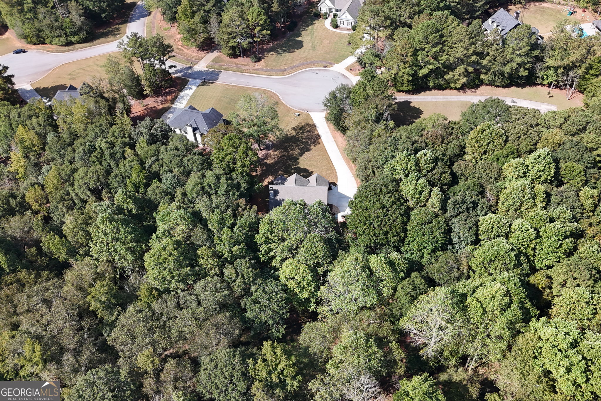 210 Hidden Falls Wlk Property Photo 43