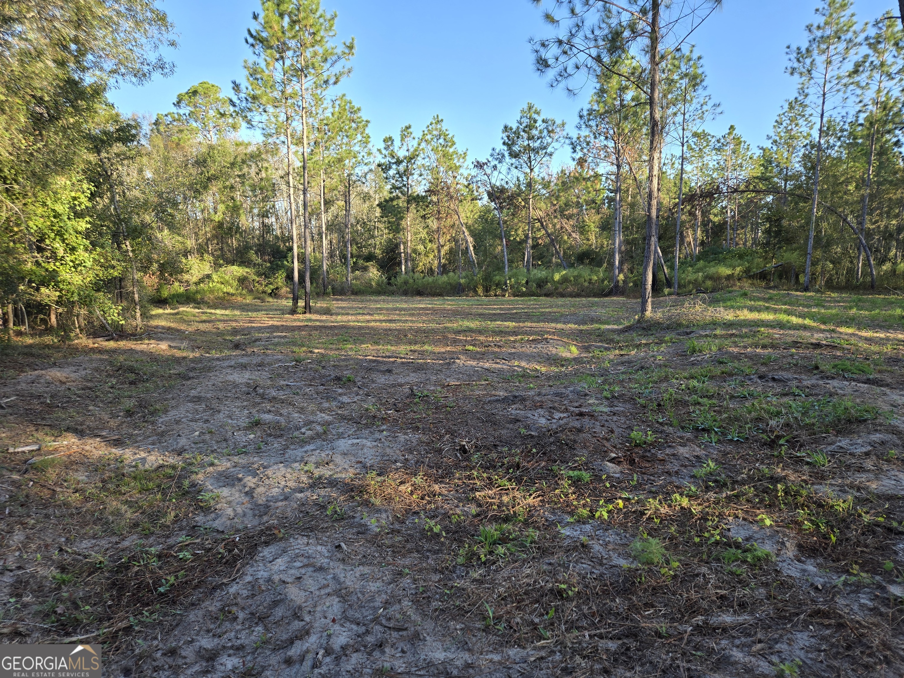 600 Alton Lawson Road Property Photo 1